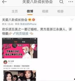小说吃瓜娱乐,揭秘娱乐圈背后的秘密与真相